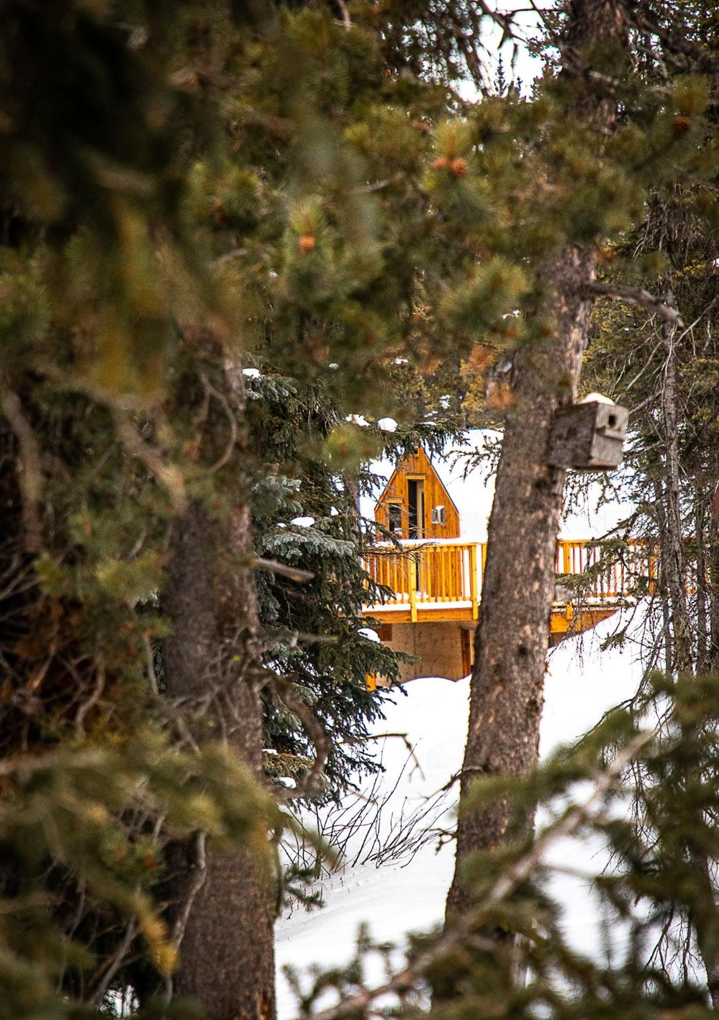 Mount Engadine Lodge Kananaskis Exteriér fotografie